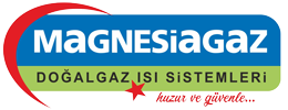 Finsa
